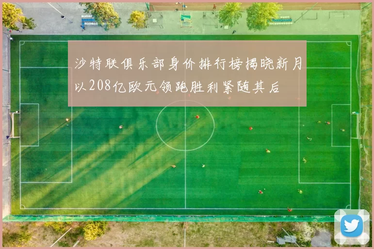沙特联俱乐部身价排行榜揭晓新月以208亿欧元领跑胜利紧随其后